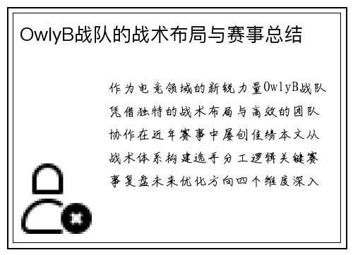 OwlyB战队的战术布局与赛事总结