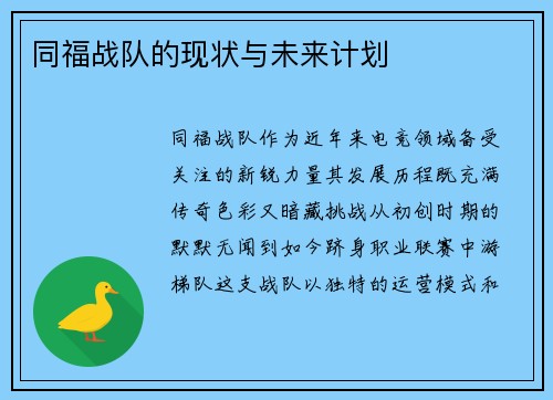 同福战队的现状与未来计划