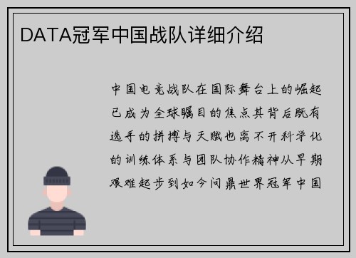 DATA冠军中国战队详细介绍